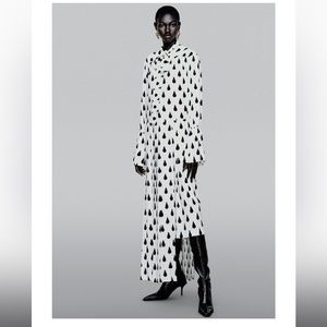 H&M Studio Collection Graphic Printed Dress